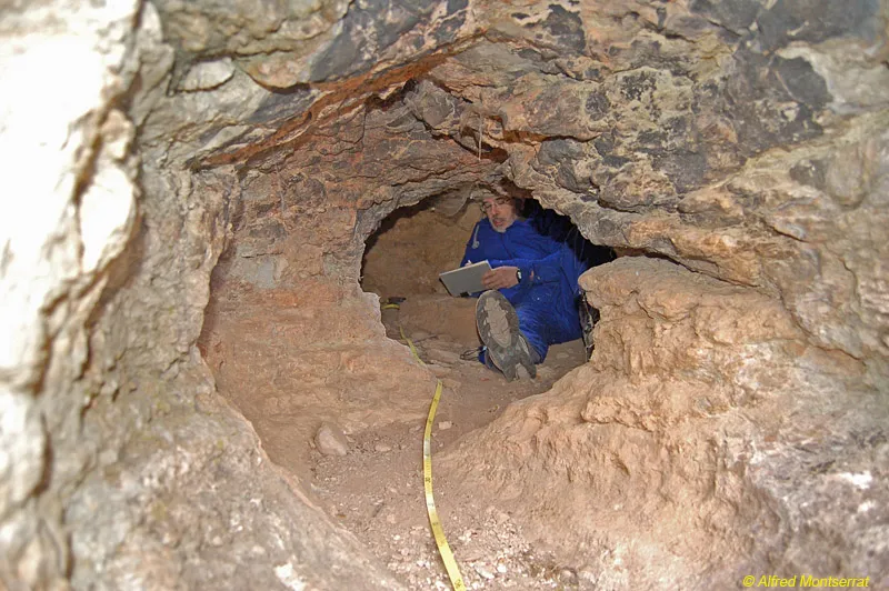 Cova de l'Enclusa
