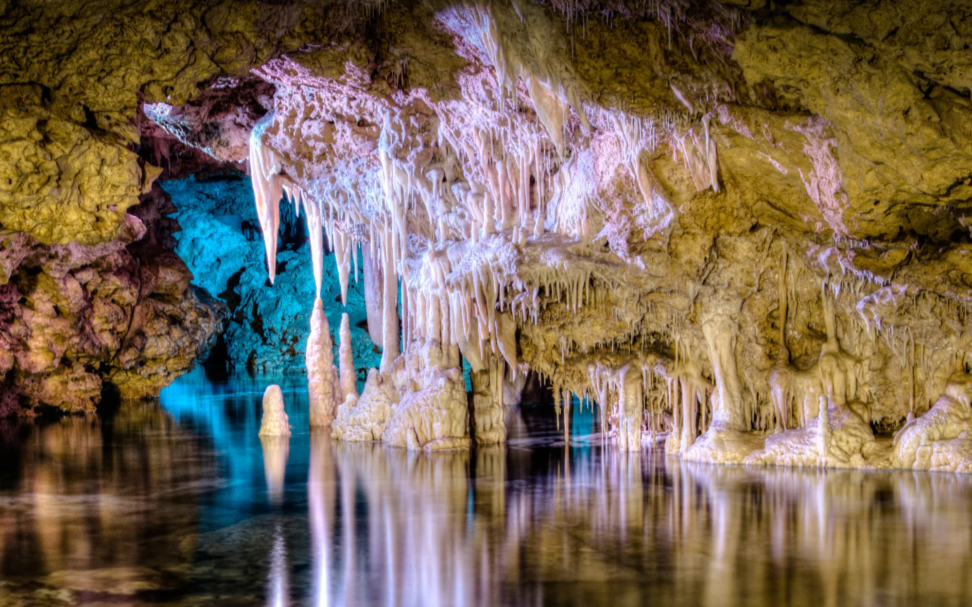Coves dels Hams