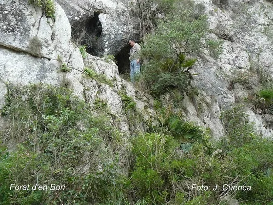 Forats d'en Bori