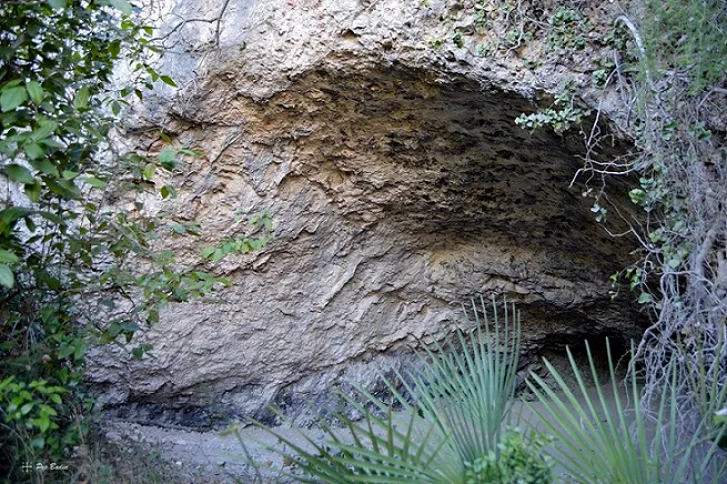Cova d'Andara