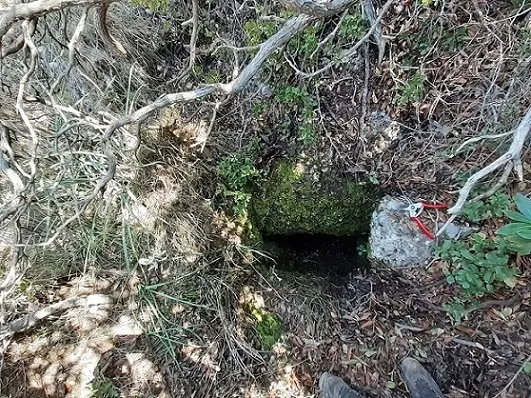 Avenc de l'Arboçar