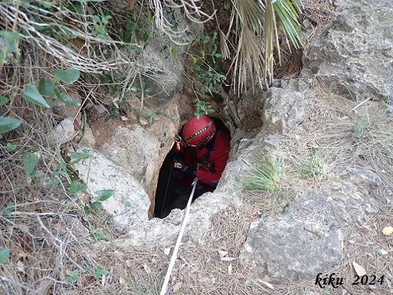 Avenc del Bosc