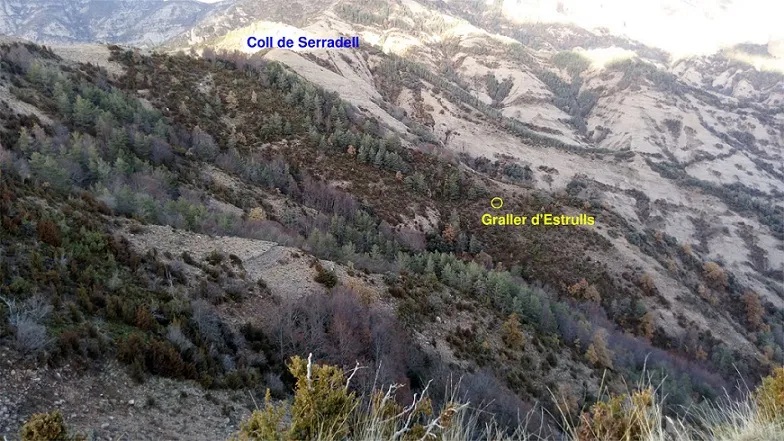 Graller d'Estrulls