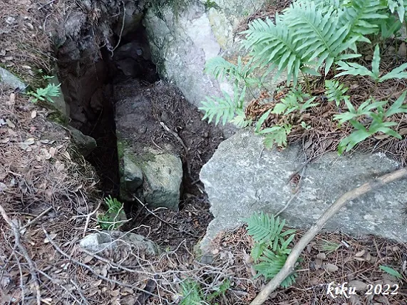 Forat de la Baga de Can Torrela
