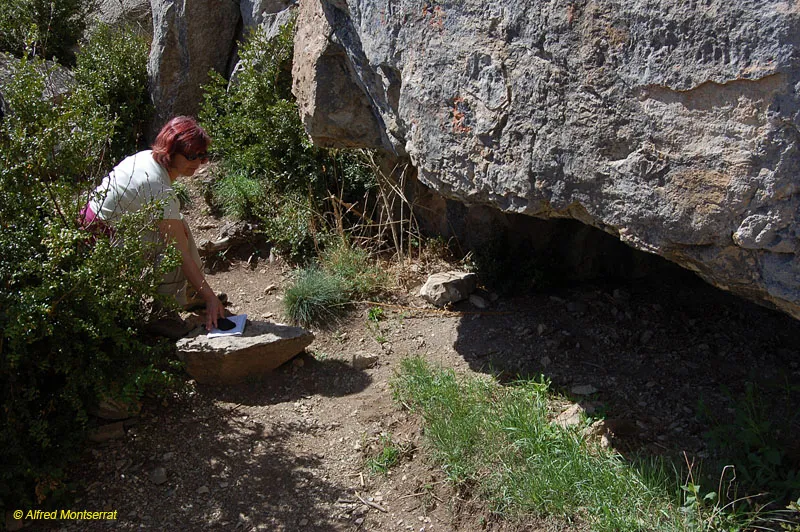 Cova D d'Olopte