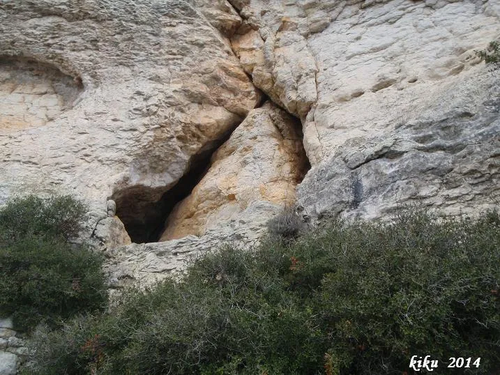 Cova Pg-6