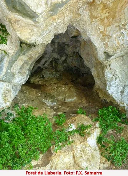 Forat de Llaberia