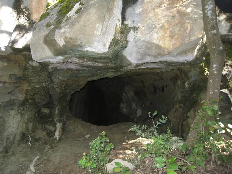 Cova dels Carlins