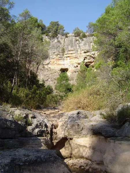 Cova del Bassot