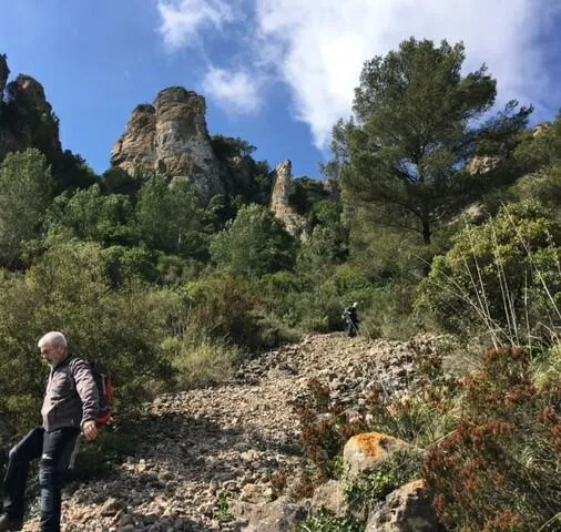 Avencó de les Agulles