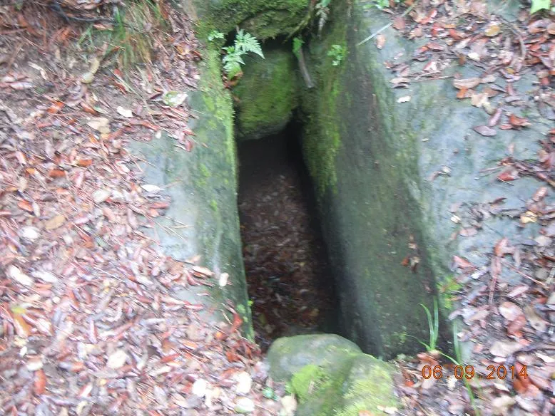 Cova de Sant Miquel