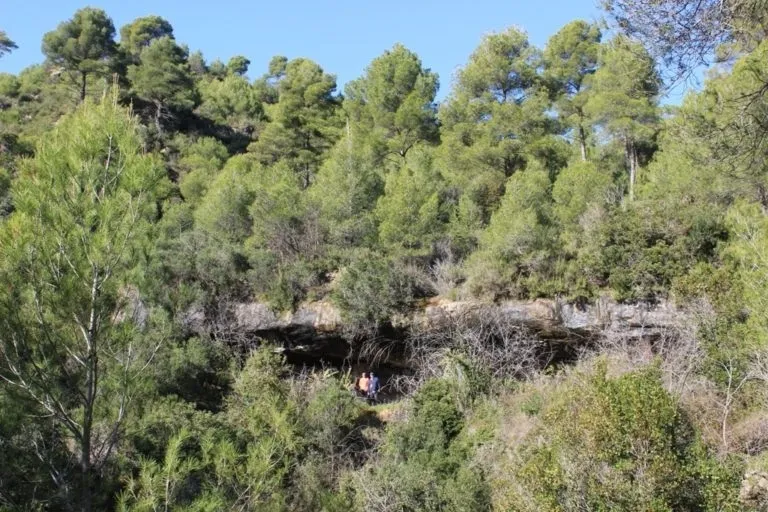 Bauma de la Guillotera