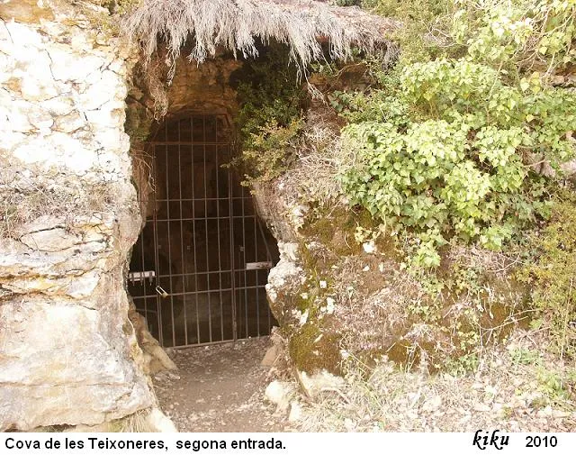 Cova de les Teixoneres