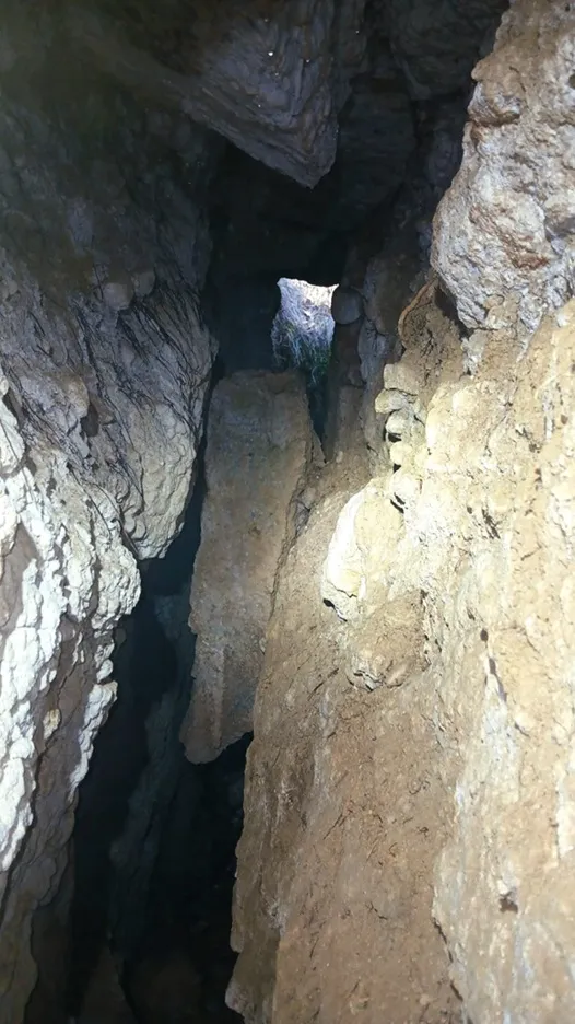 Foto Esquerdes de Santa Eugènia