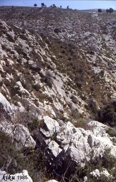 Avenc dels Aragalls