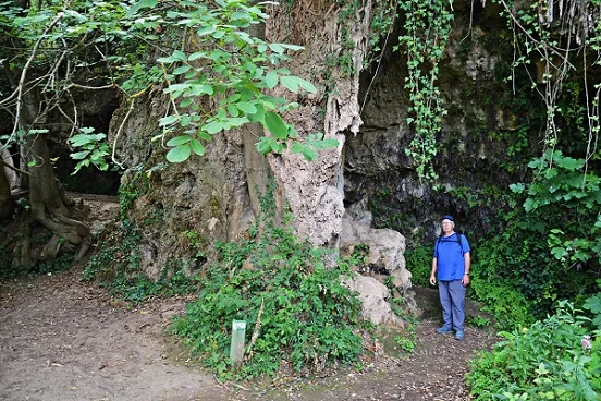 el Foradot