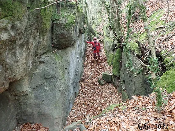 Bora del Camí