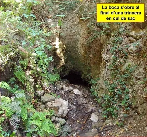 Cova de la Font Calenta