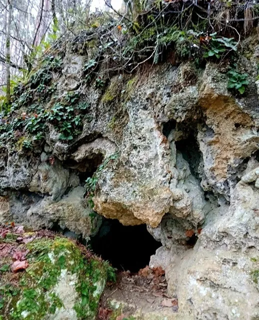 Cova Nº1 de Bosoms