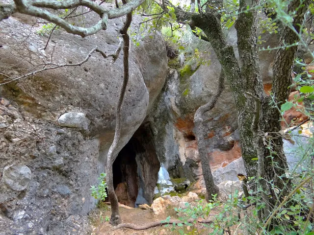 Cova del Turó del Mal Pas de Puigdoure