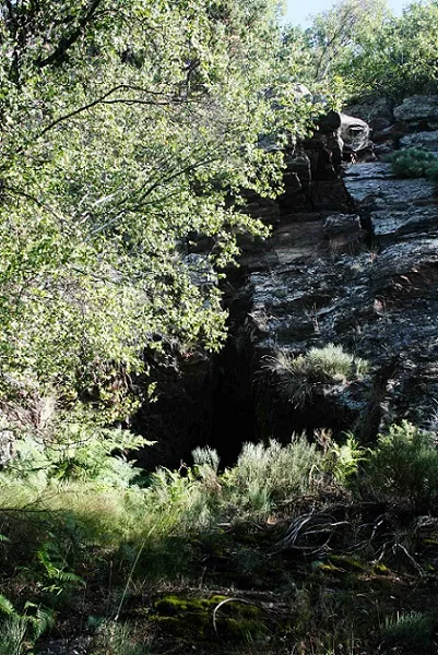 Cova Serra Plana