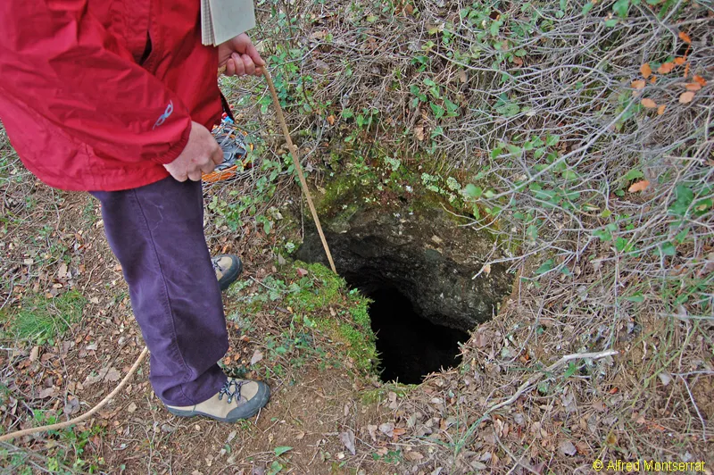 Avenc de la Lídia