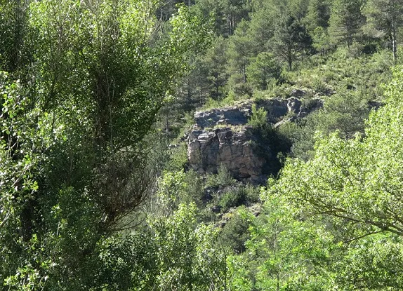 Balma de Sant Martí dels Castells