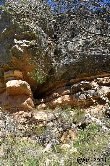 Foradada dels Avellaners