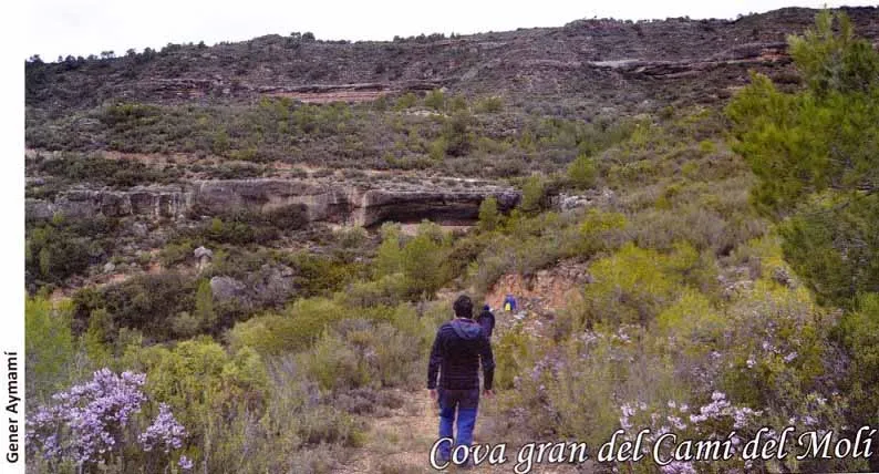Cova Gran del Camí del Molí