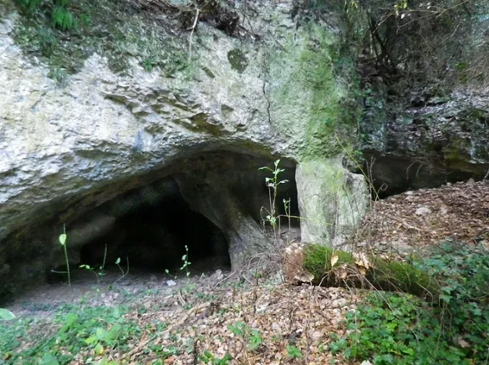Cova de Fontscalents
