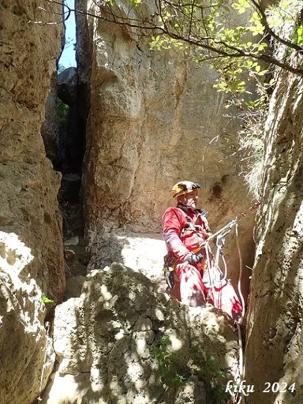 Avencs dels Tres Grans - Xesc
