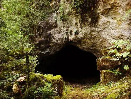 Cova de Plugaoscura