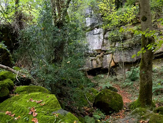 Baumes d'en Caxurma