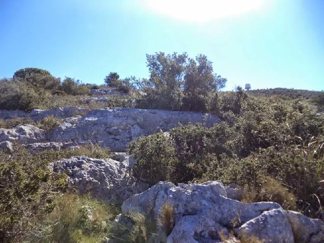 Avenc de Joan Grao
