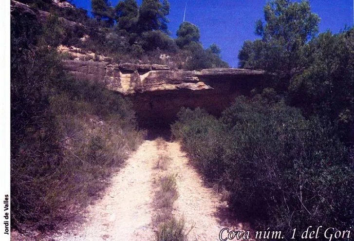 Cova Nº1 del Gori