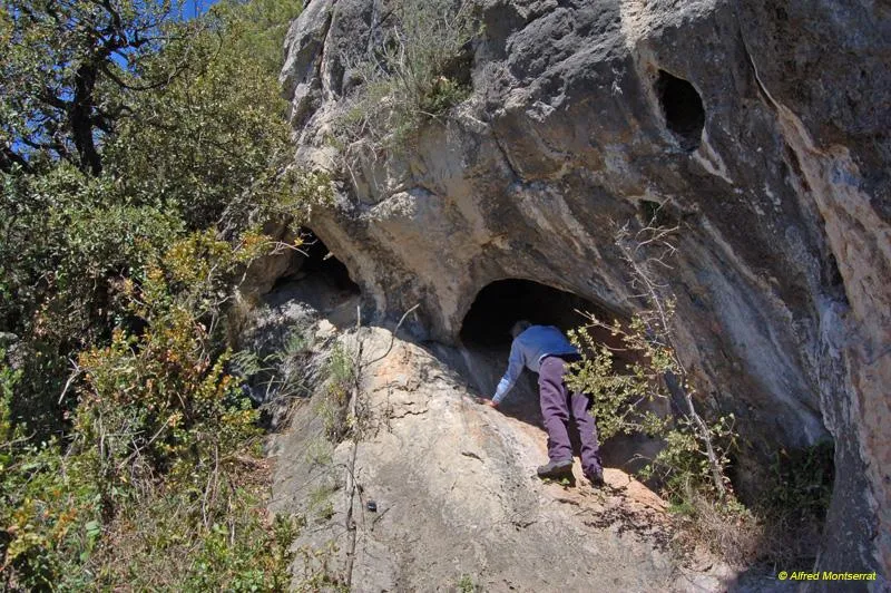 Cova de les Tres Boques