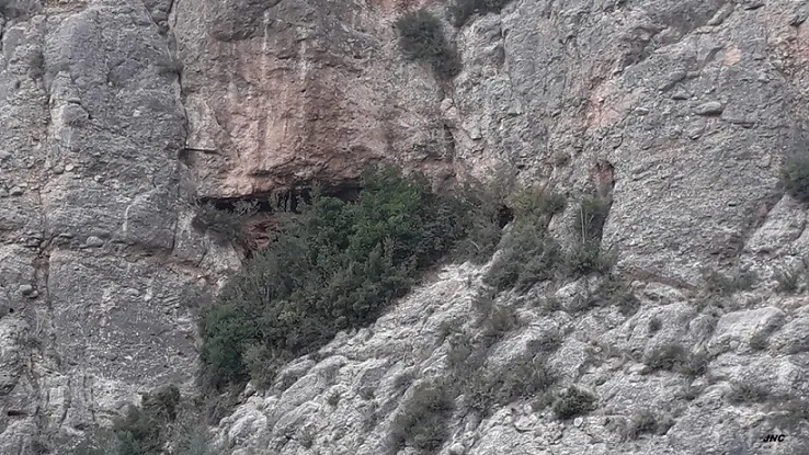 Cova Fòssil Nº3 del Xacó