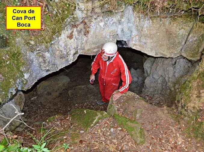 Cova de Can Port