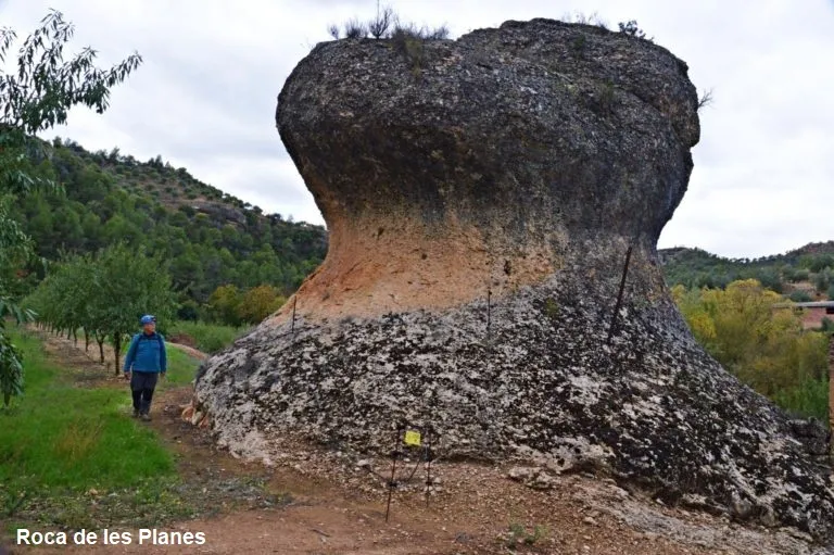 Cova d'en Boixa