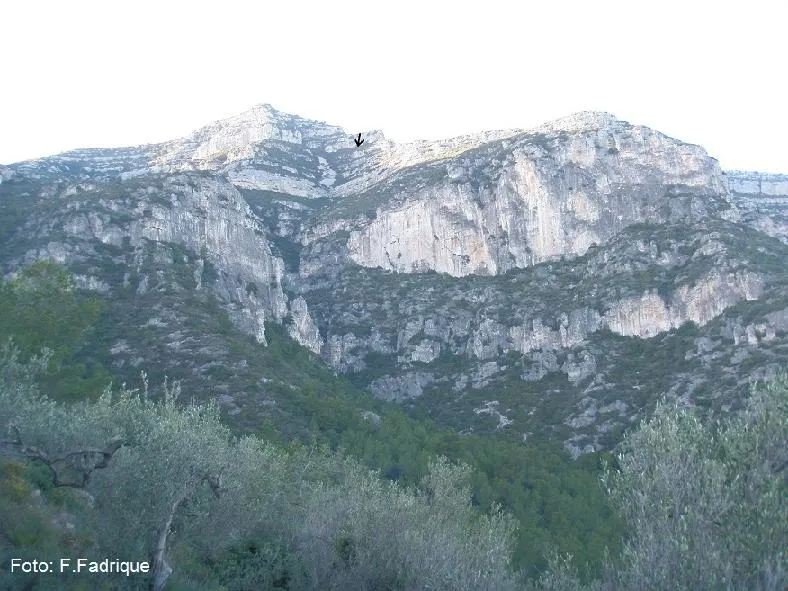 Cova Bonica