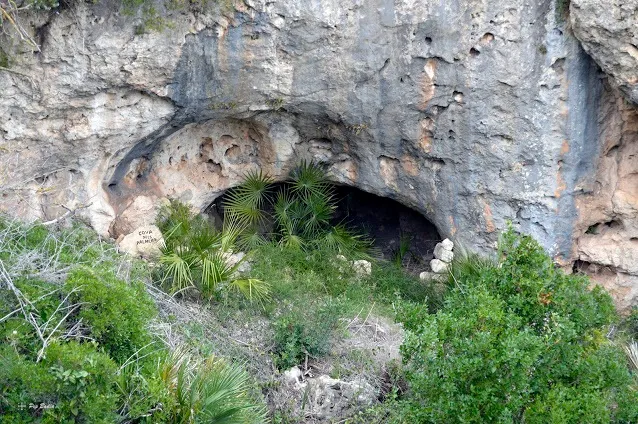 Cova dels Palmers