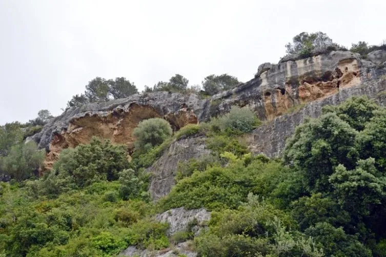 Coves de la Vall