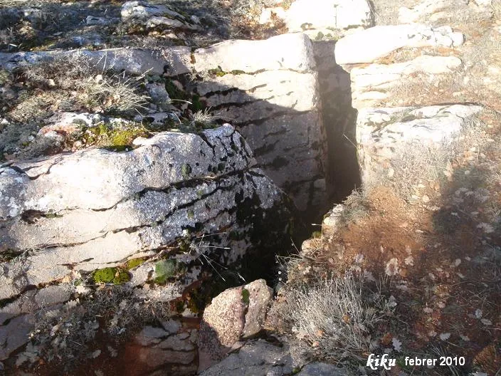Forat del Camí Nou