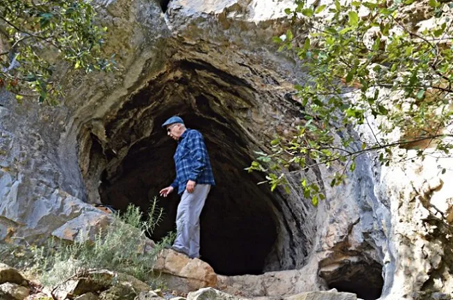 Cova 1 del Cofí