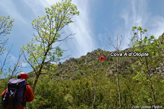 Cova Gran d'Olopte