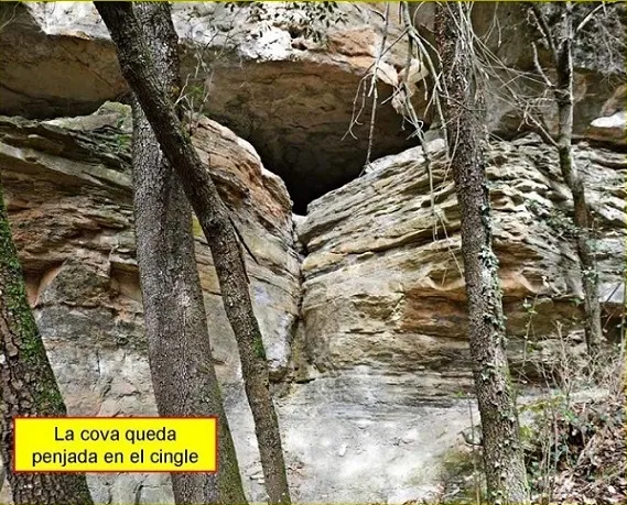 Cova de S'Avellana