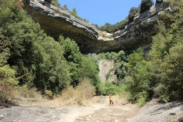Balma de Roca Gironella