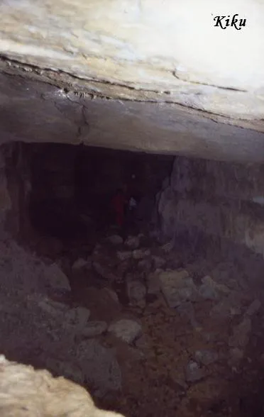 Cova de la Carrera