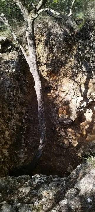 Cova del Morsell