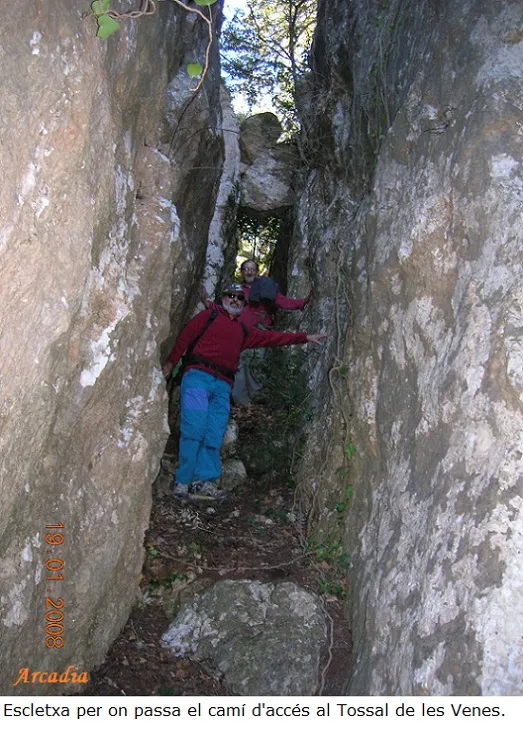 Avenc Gran de  Esquerdes de les - Rojalons Venes